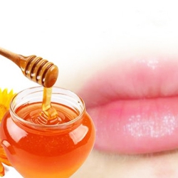 CÁCH DƯỠNG MÔI BẰNG MẬT ONG CĂNG BÓNG VÀ MỌNG
